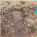 Photo of headstone located under the sod - flagged - Beckley Cemetery