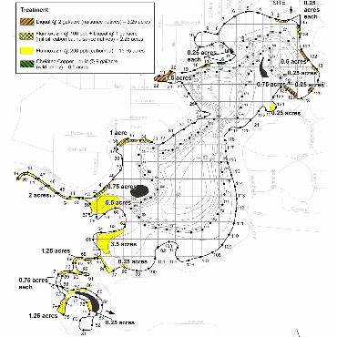 A map of Goguac Lake showing the treatment areas as varying colored and designed areas.