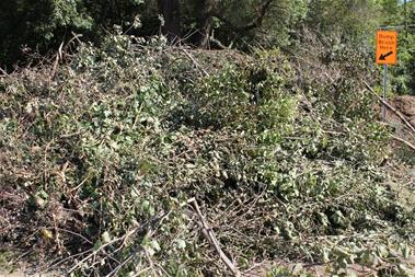 Yard waste brush at Brice Pit